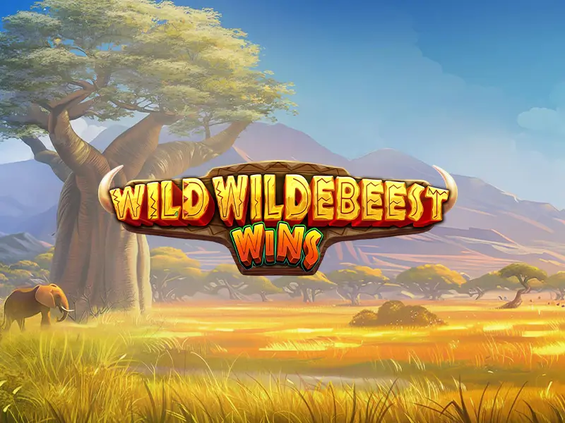 Dealer Lucas Costa representando Slots como Wild Wildebeest Wins